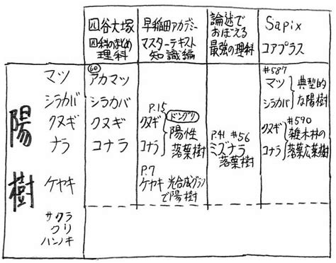 陽樹 陰樹 一覧|陰樹・陽樹の違いを理解して庭作りを成功させよう